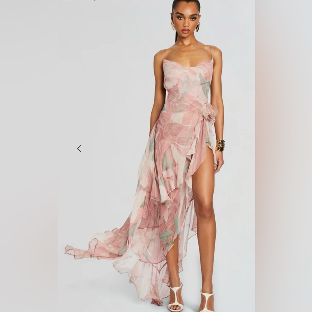 Retrofete Samara Silk Chiffon Dress in Dusty Pink Botanical $798 - Picture 6 of 16